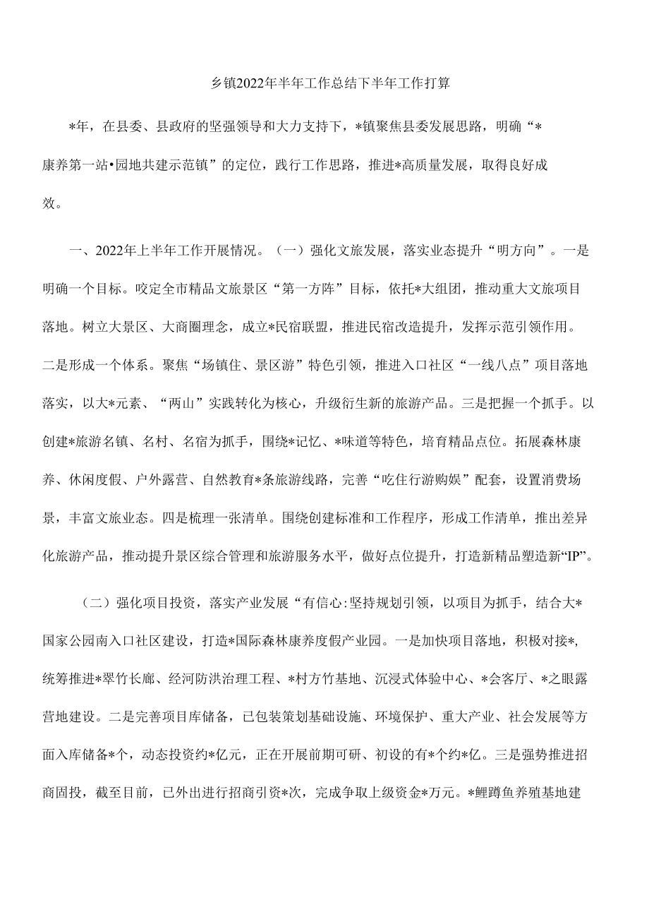 乡镇2022年半年工作总结下半年工作打算.docx_第1页