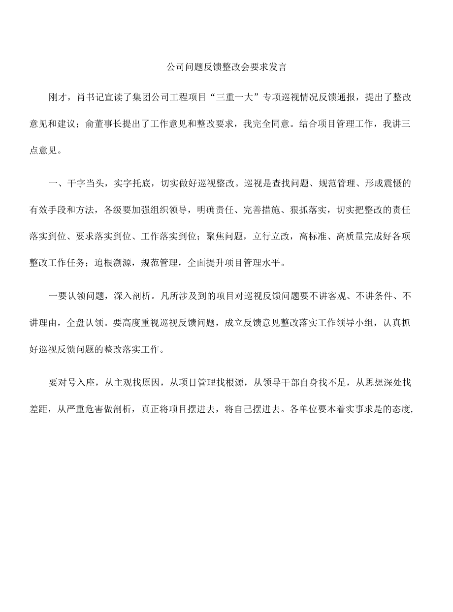 公司问题反馈整改会要求发言.docx_第1页