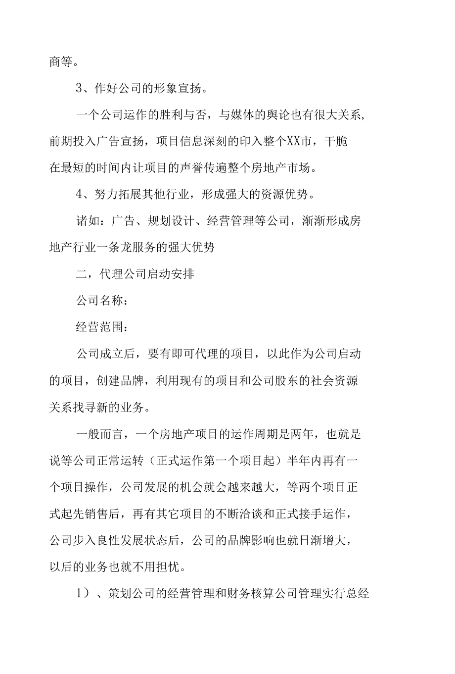 公司组织架构及前期方案.docx_第2页