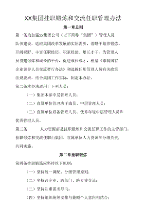 XX集团挂职锻炼和交流任职管理办法.docx