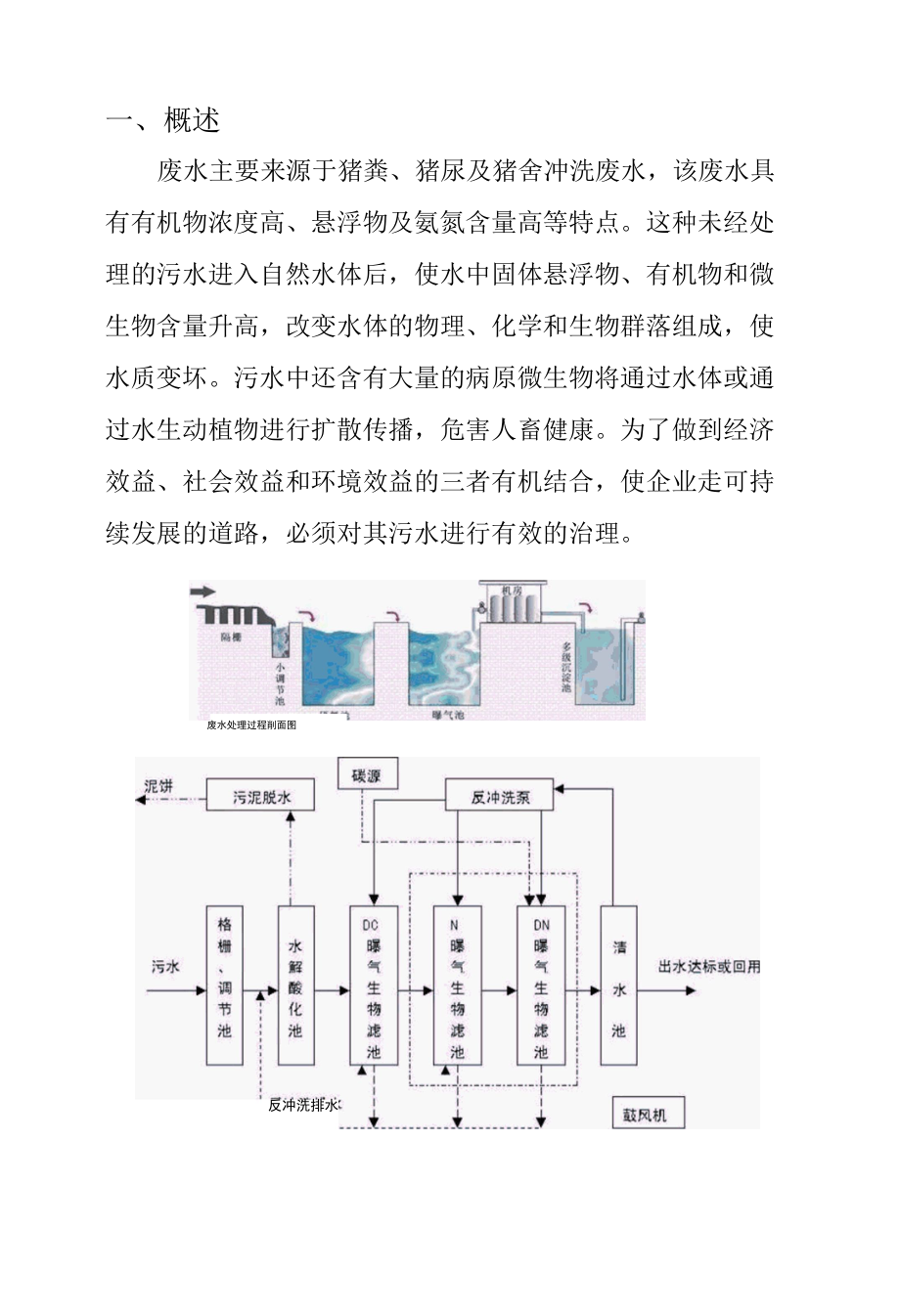 养猪场废水污水处理方案.docx_第2页