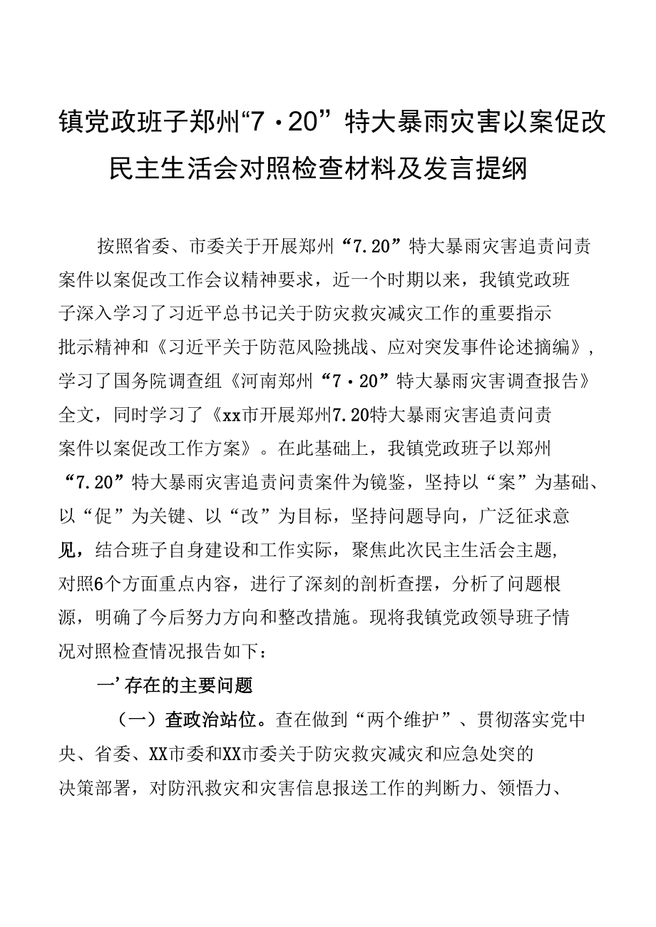 某镇党政班子郑州7·20特大暴雨灾害以案促改民主生活会对照检查发言提纲.docx_第1页