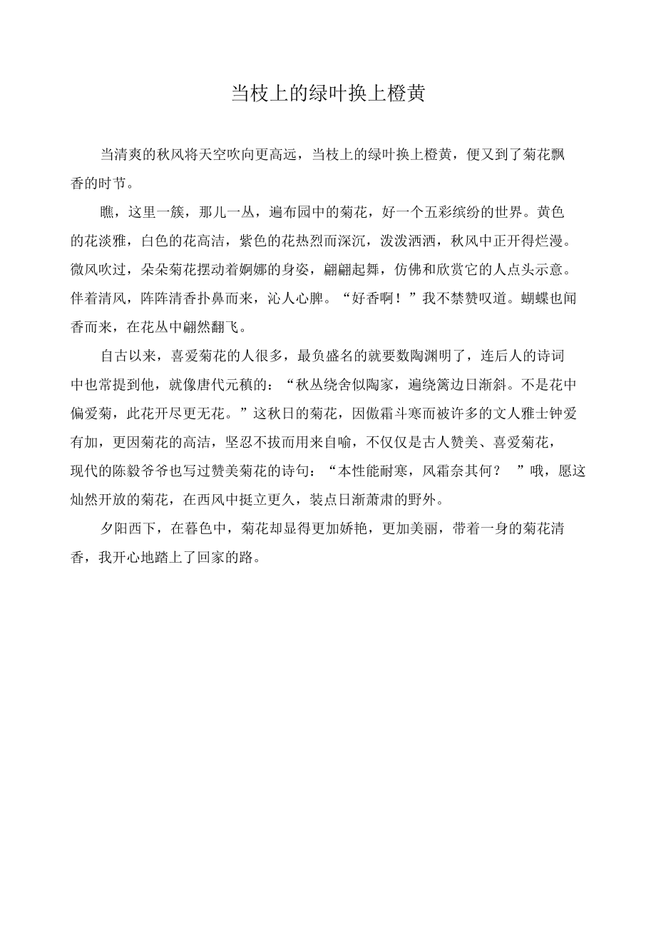 当枝上的绿叶换上橙黄作文精选.docx_第1页