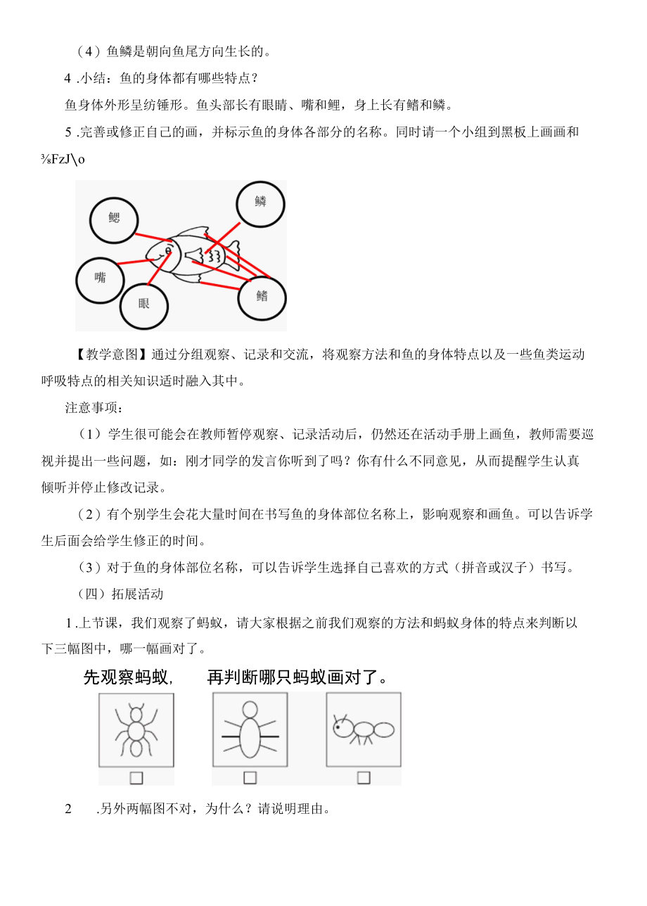 最新教科版一年级科学下册《观察鱼》活动方案.docx_第3页