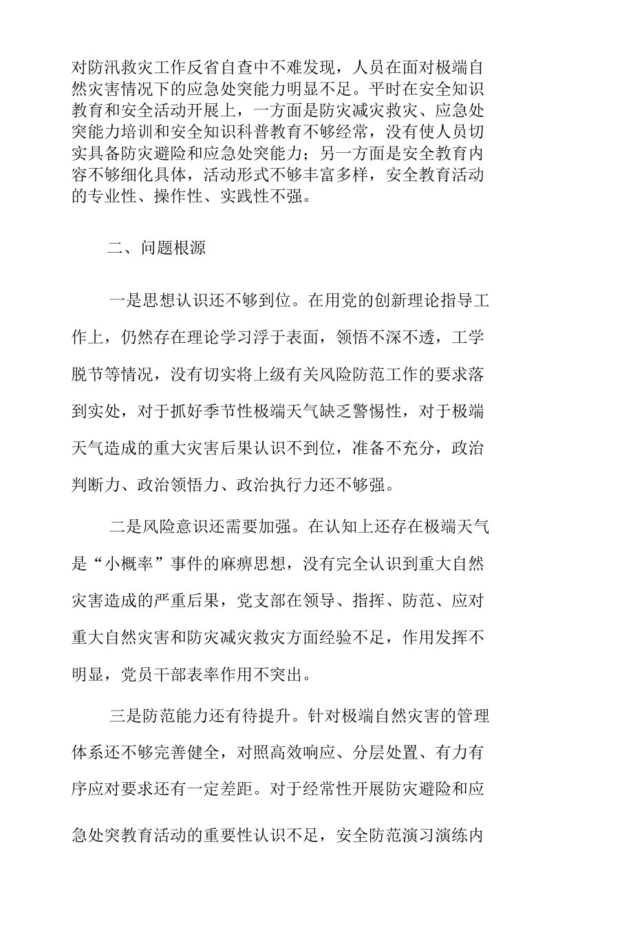 关于“7·20”特大暴雨灾害追责问责案件以案促改党支部干部对照检查报告3篇.docx_第3页