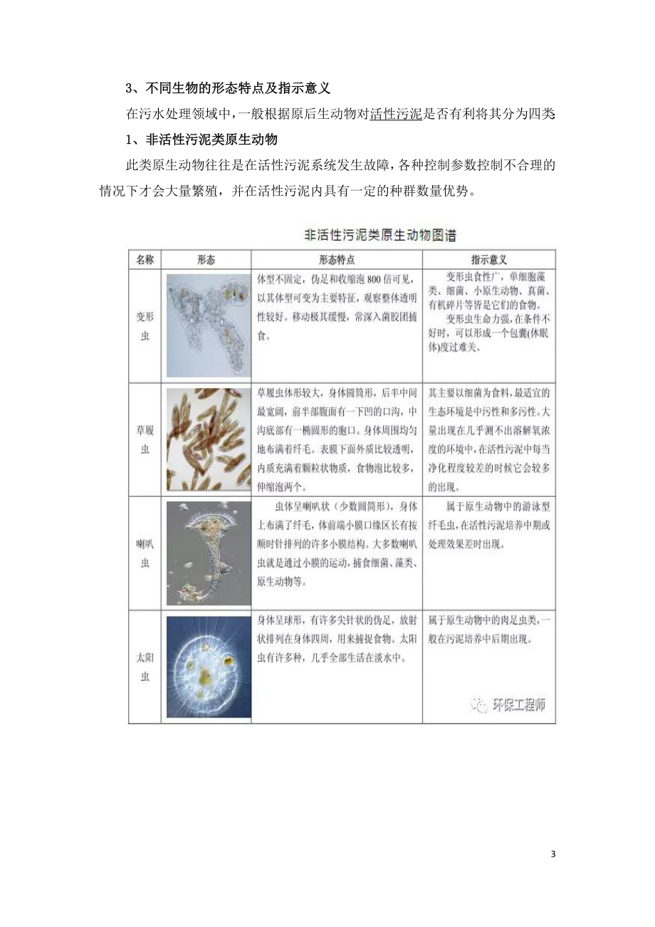 微生物镜检对照实用手册.doc_第3页