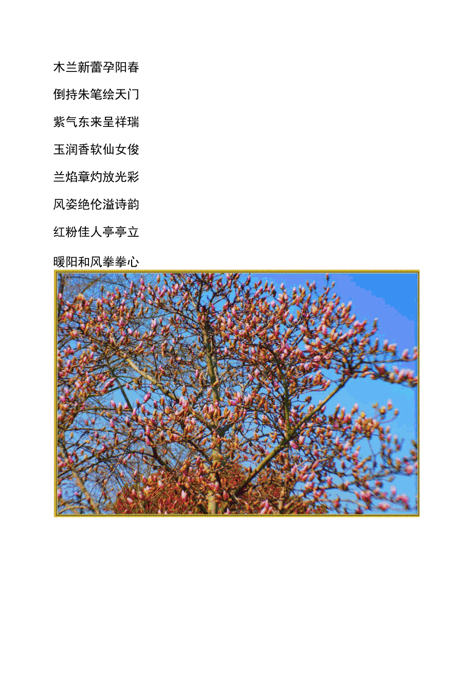 木兰新蕾.docx_第2页