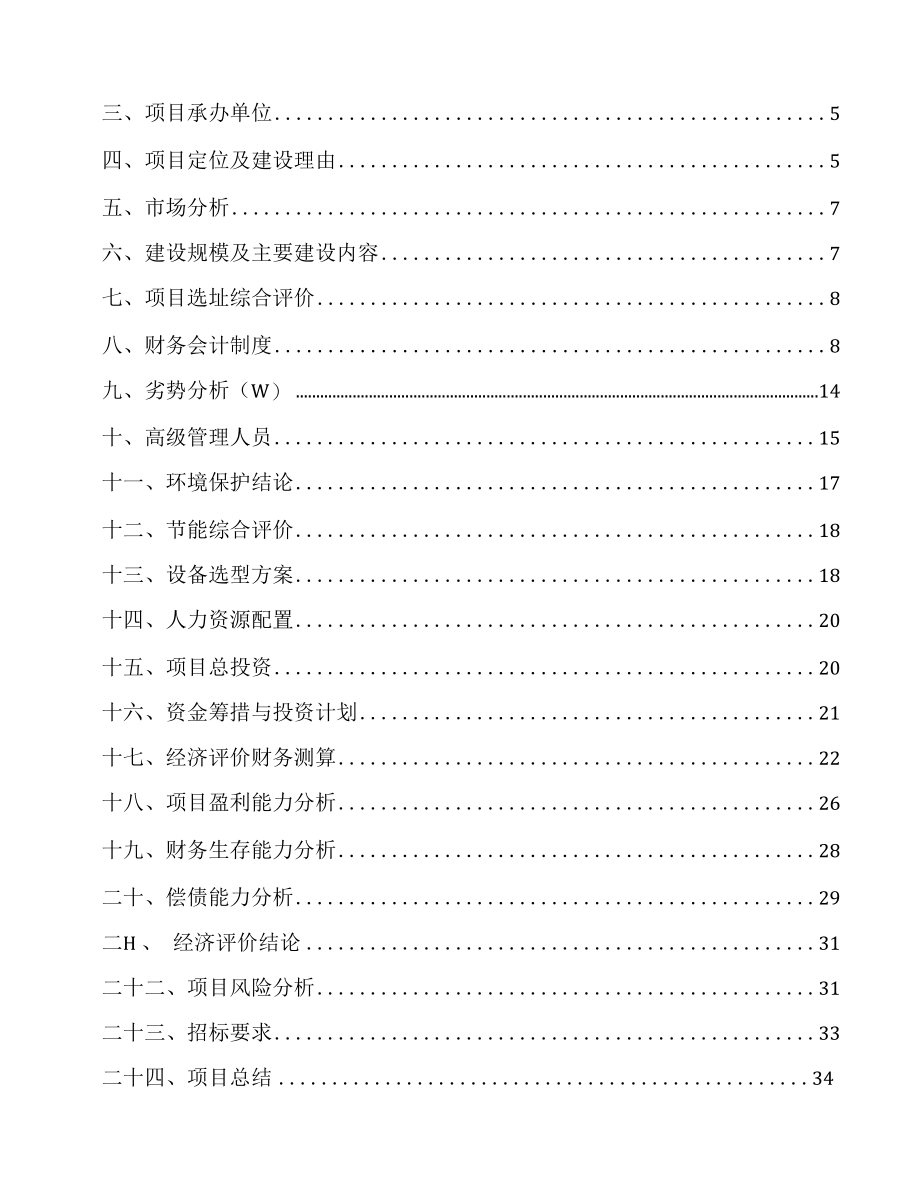 大连过氧化氢项目经营分析报告.docx_第2页