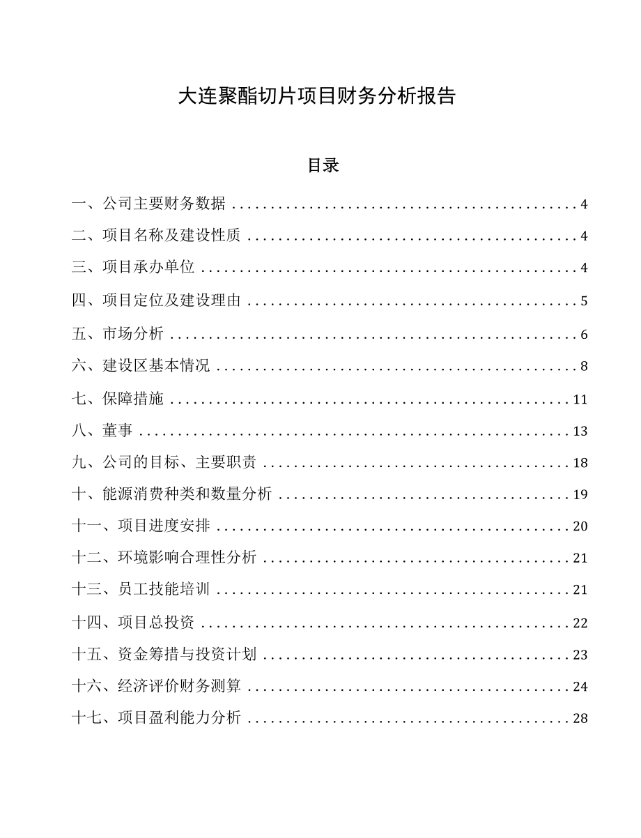 大连聚酯切片项目财务分析报告.docx_第1页