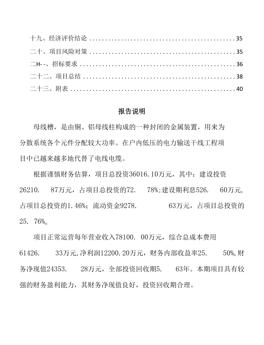 大连母线槽项目经营分析报告.docx_第2页