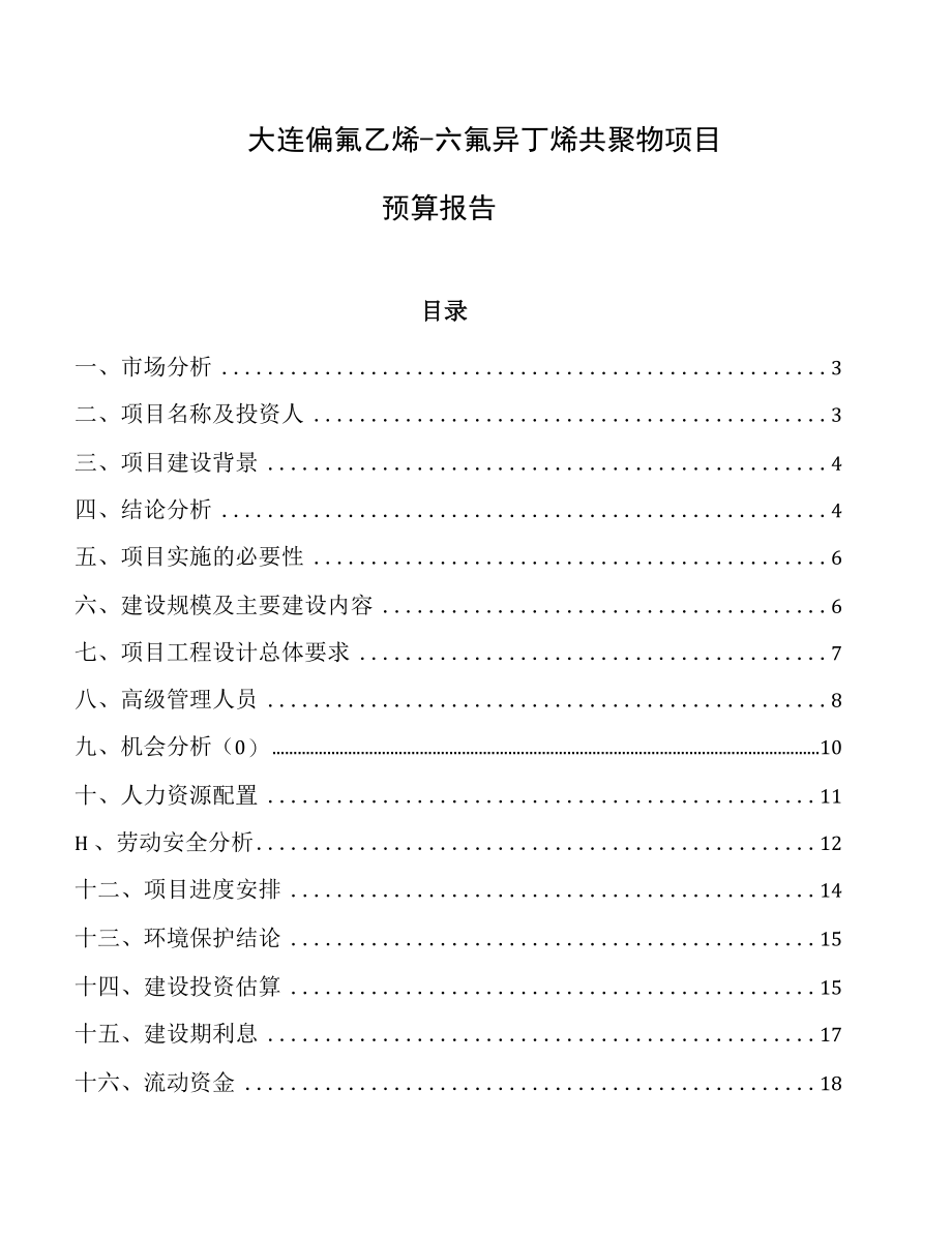 大连偏氟乙烯-六氟异丁烯共聚物项目预算报告.docx_第1页