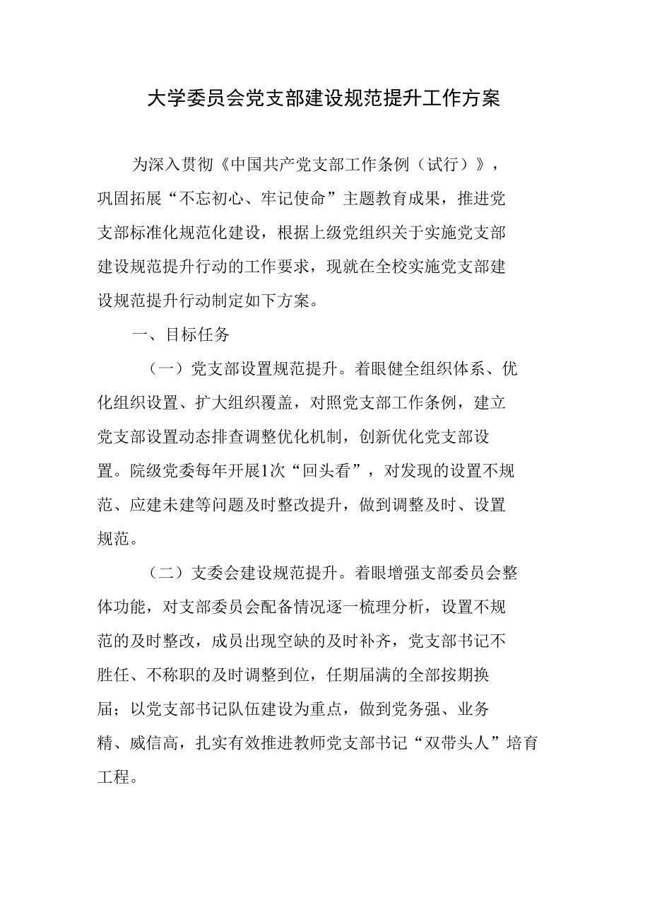 大学委员会党支部建设规范提升工作方案.docx_第1页