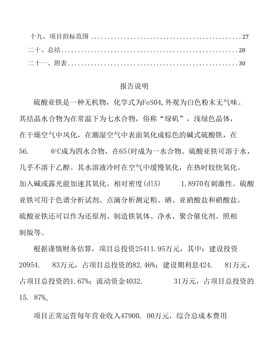 大连硫酸亚铁项目立项报告.docx_第2页