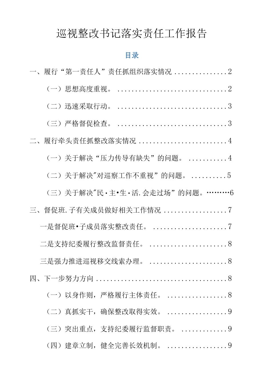 巡视整改书记落实责任工作报告.docx_第1页