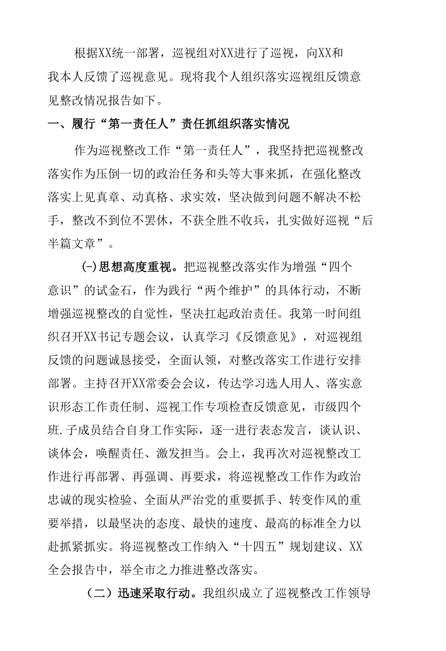 巡视整改书记落实责任工作报告.docx_第3页