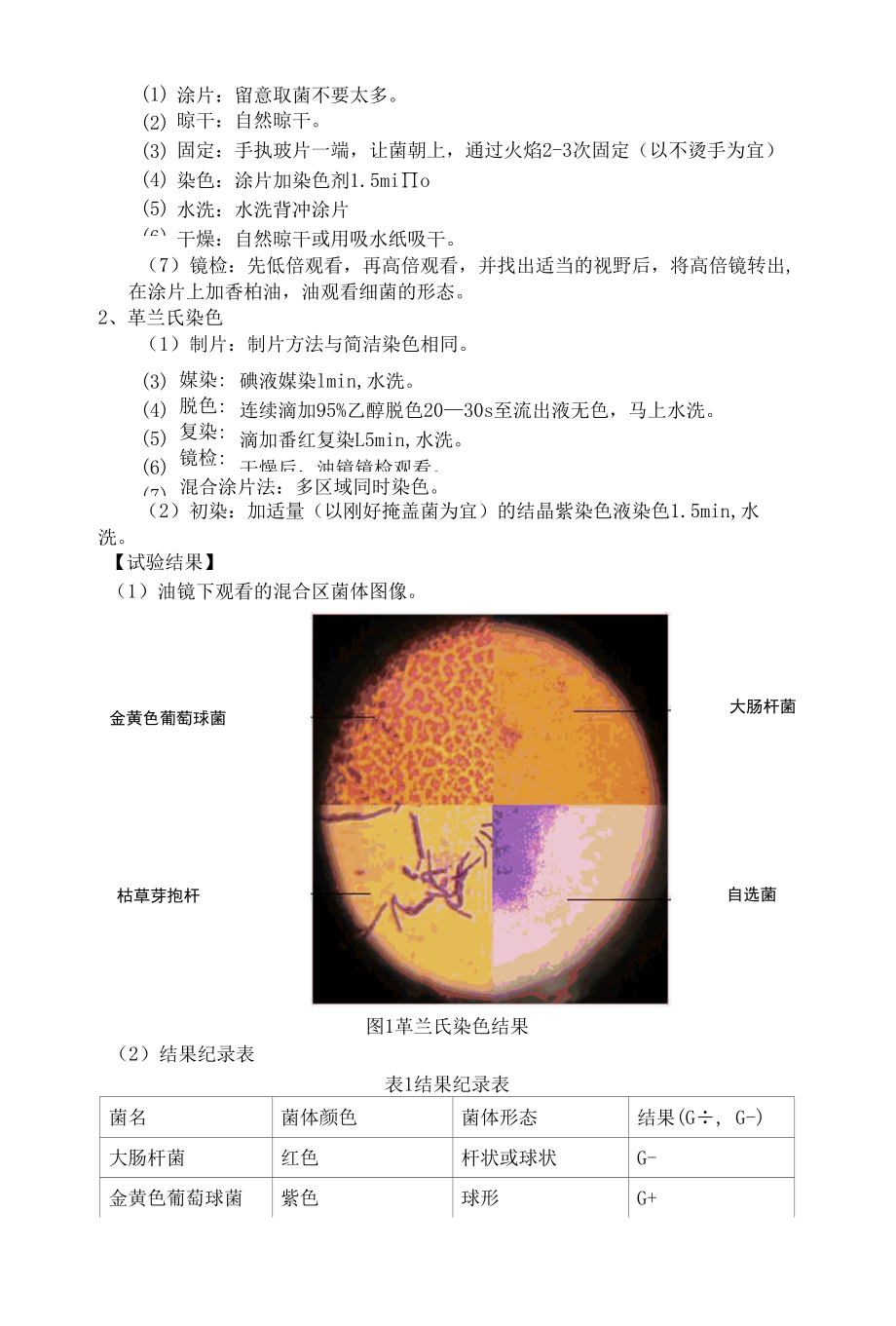 显微镜的使用及细胞的革兰氏染色.docx_第2页