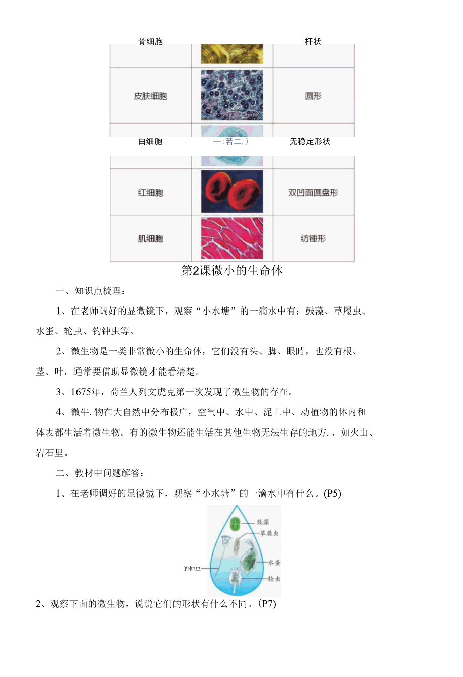 新苏教版科学五年级下册全册知识点总结.docx_第2页