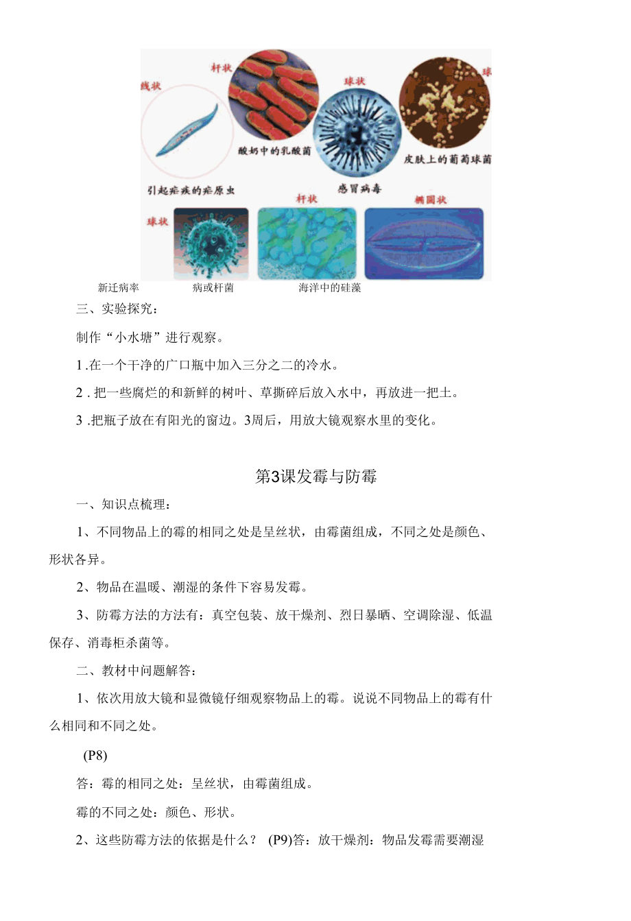 新苏教版科学五年级下册全册知识点总结.docx_第3页