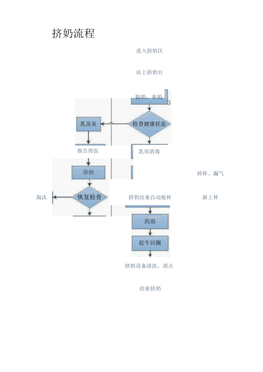 挤奶流程.docx_第1页