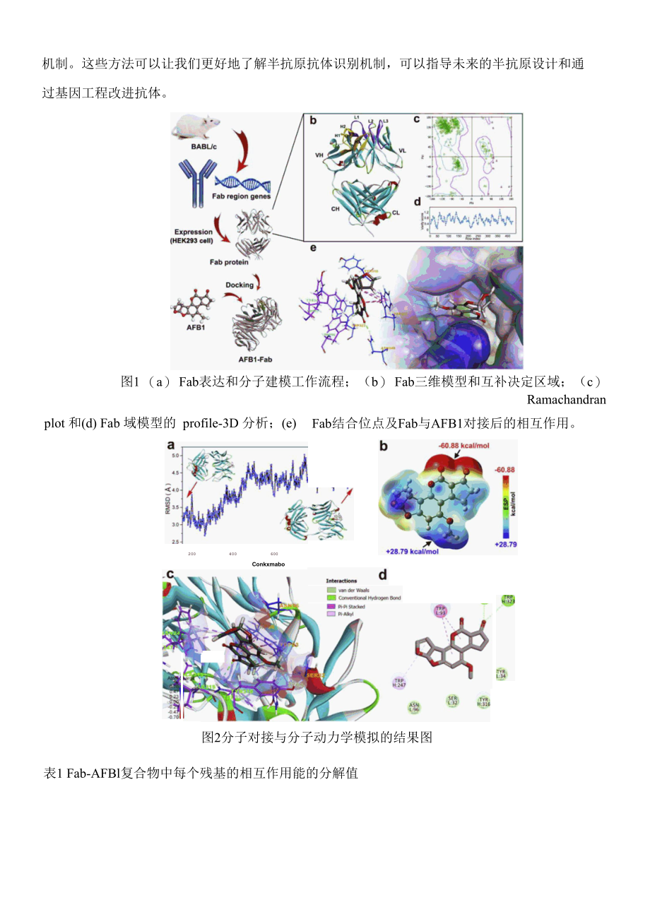 CdTeCdSZnS量子点在黄曲霉毒素B1免疫分析及抗体识别分子模型中的应用.docx_第3页