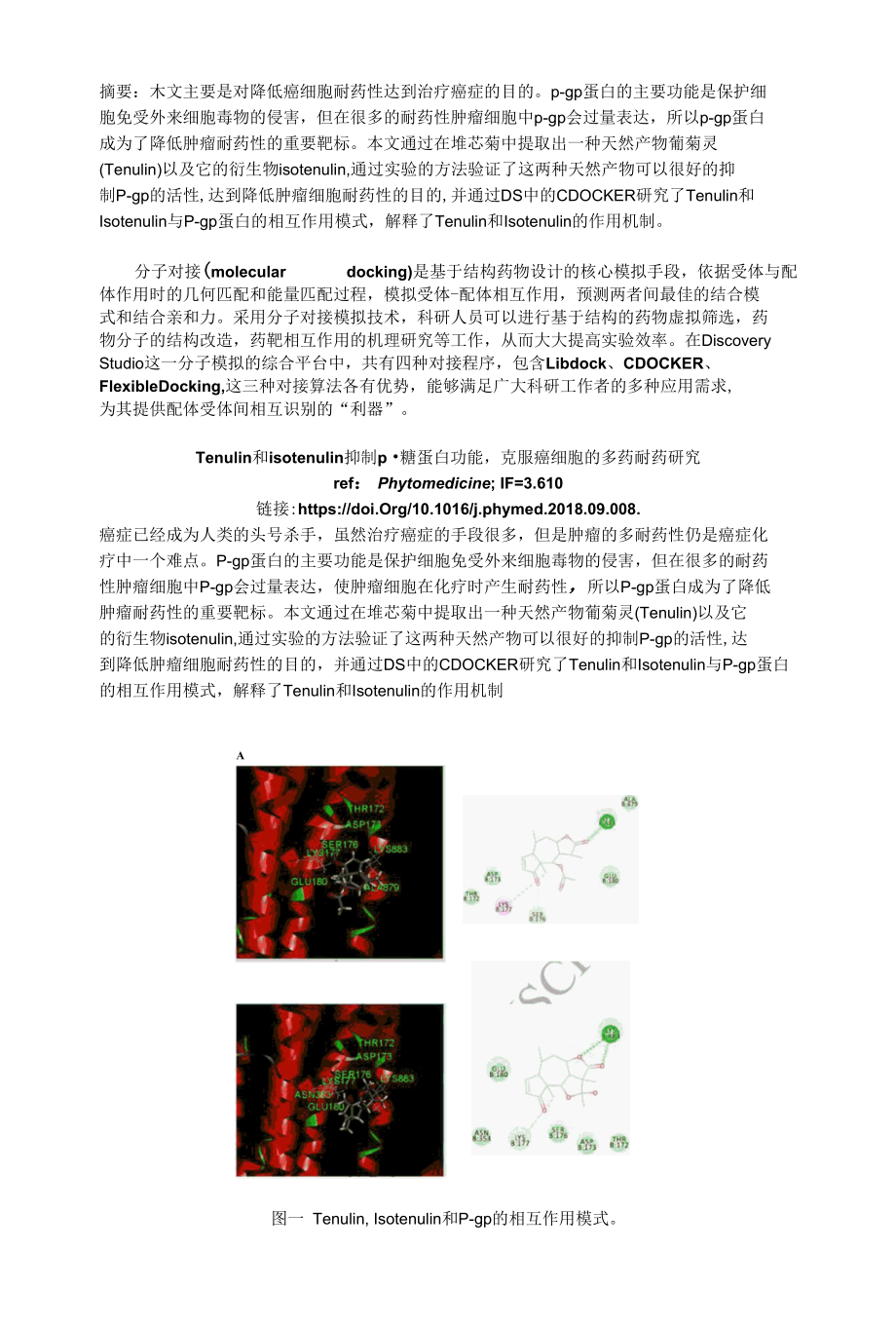 Tenulin和isotenulin抑制p -糖蛋白功能克服癌细胞的多药耐药研究.docx_第1页