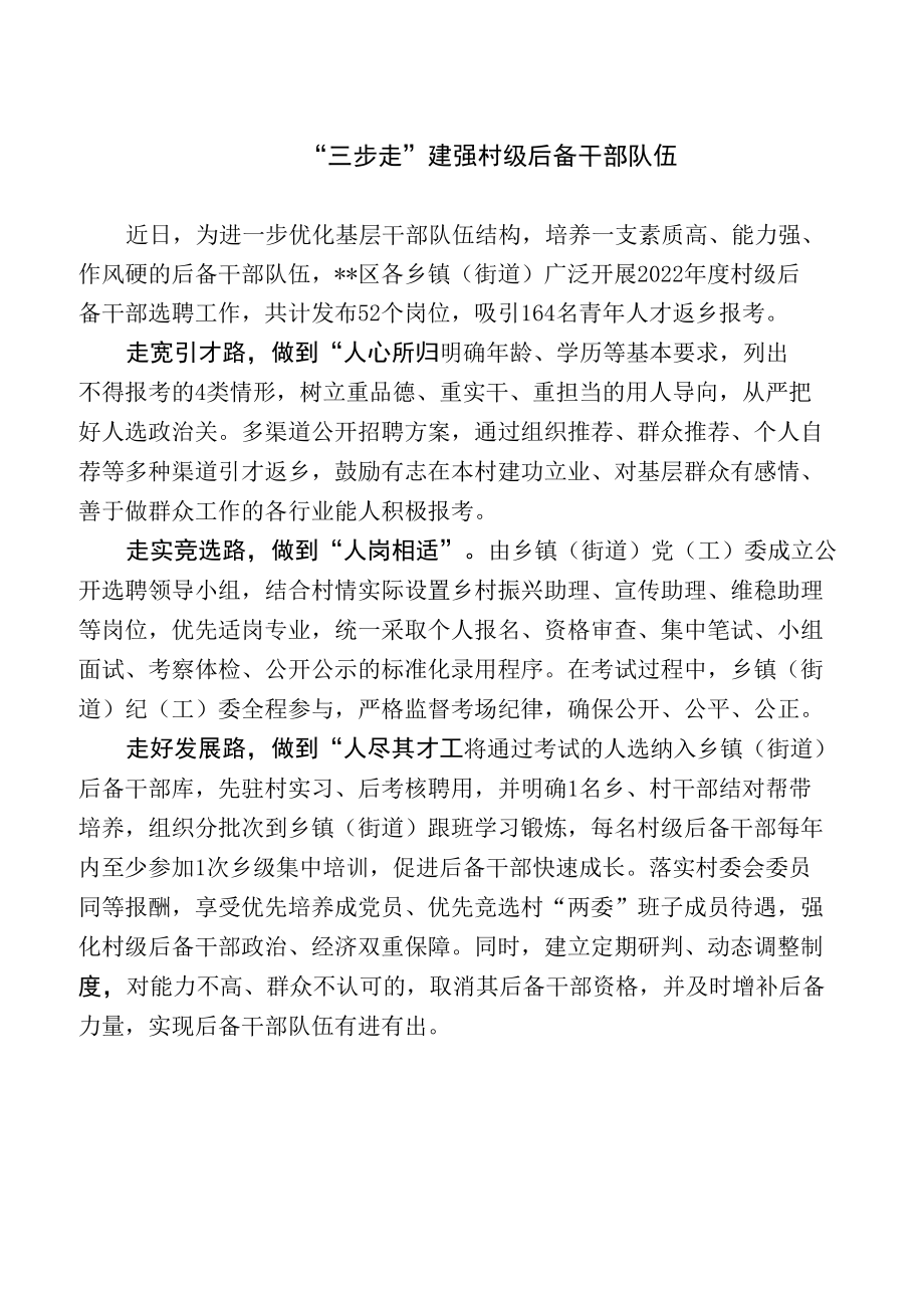 村级后备队伍建设工作总结.docx_第1页