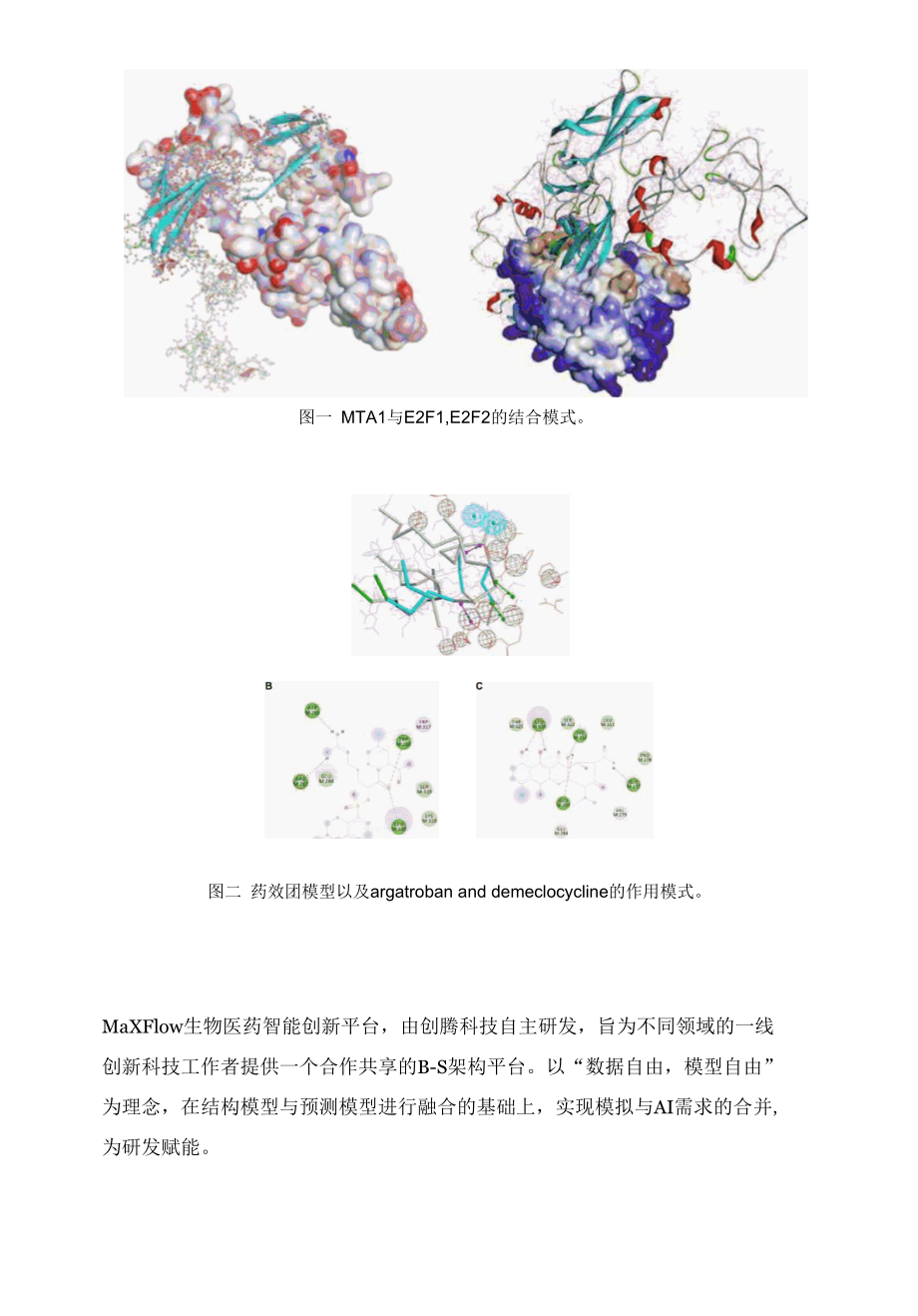 从E2F1-辅助调节因子的相互作用中重新定位药物预防和治疗癌症转移的研究.docx_第2页