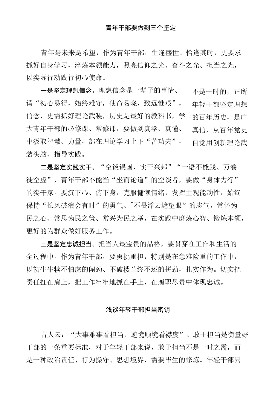 关于年轻干部担当作为的评论文章.docx_第2页