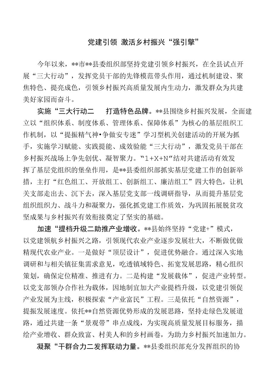 【经验总结】党建引领 激活乡村振兴“新引擎”.docx_第1页