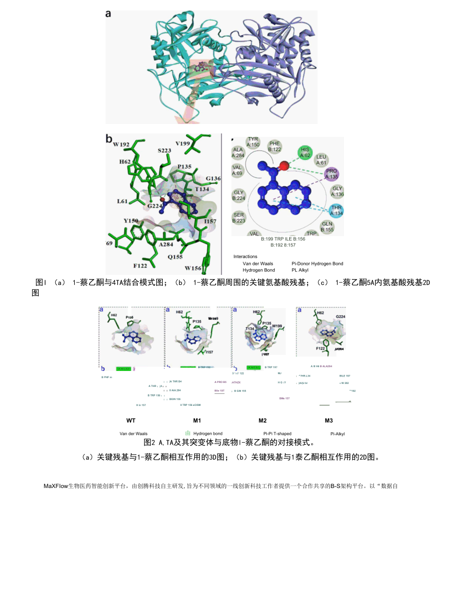 对ω-转氨酶设计以提高对(R)-(+)-1-(4-萘基)乙胺合成的催化效率.docx_第3页