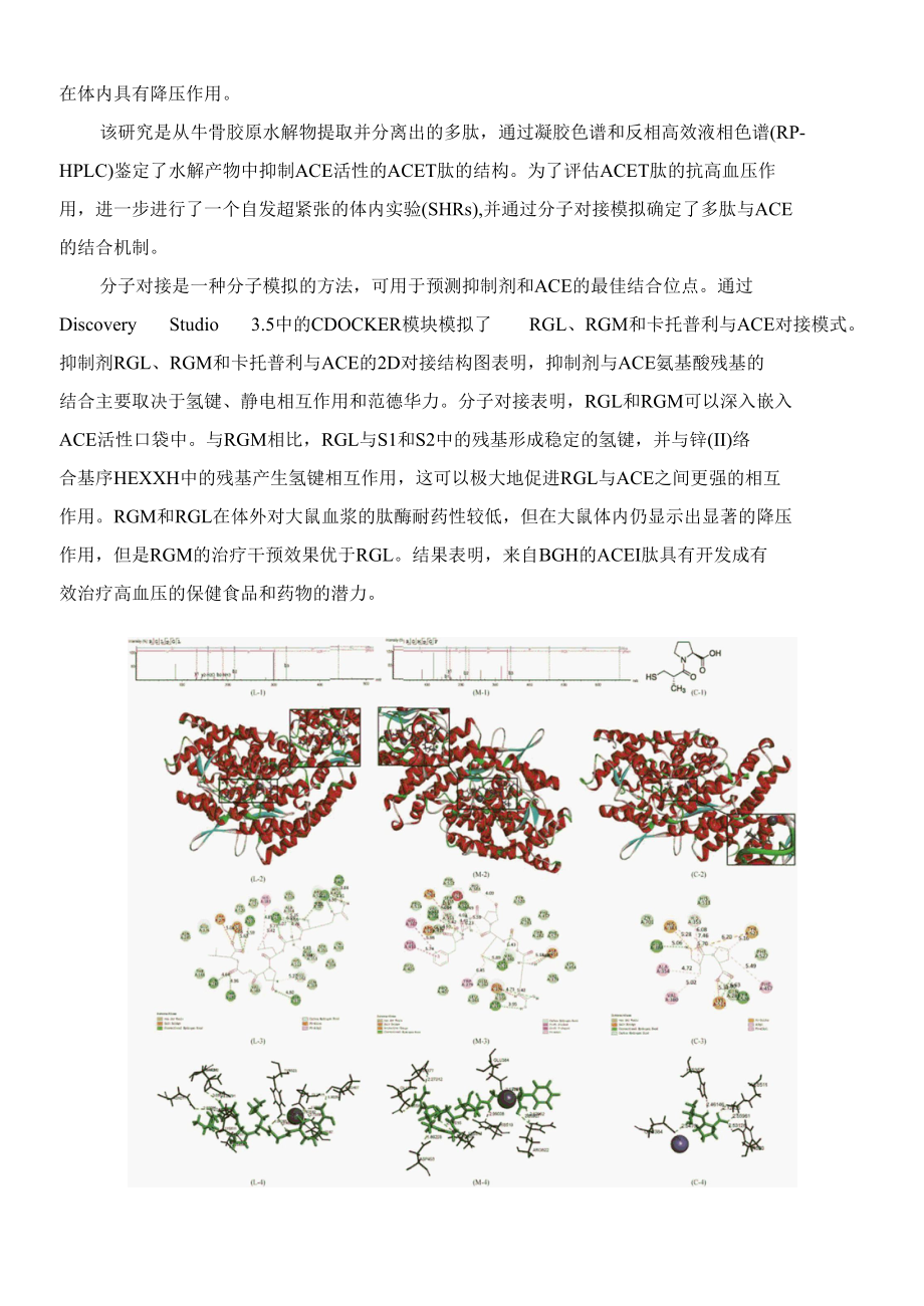 牛骨明胶水解物作为新型血管紧张素转化酶抑制剂机理的研究.docx_第2页