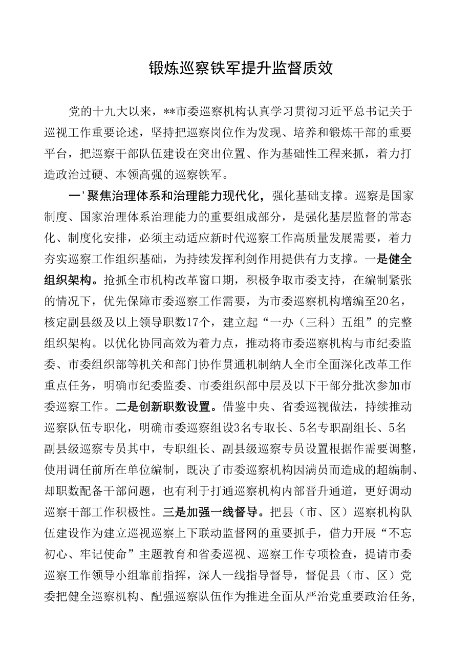 锻炼巡察铁军提升监督质效.docx_第1页