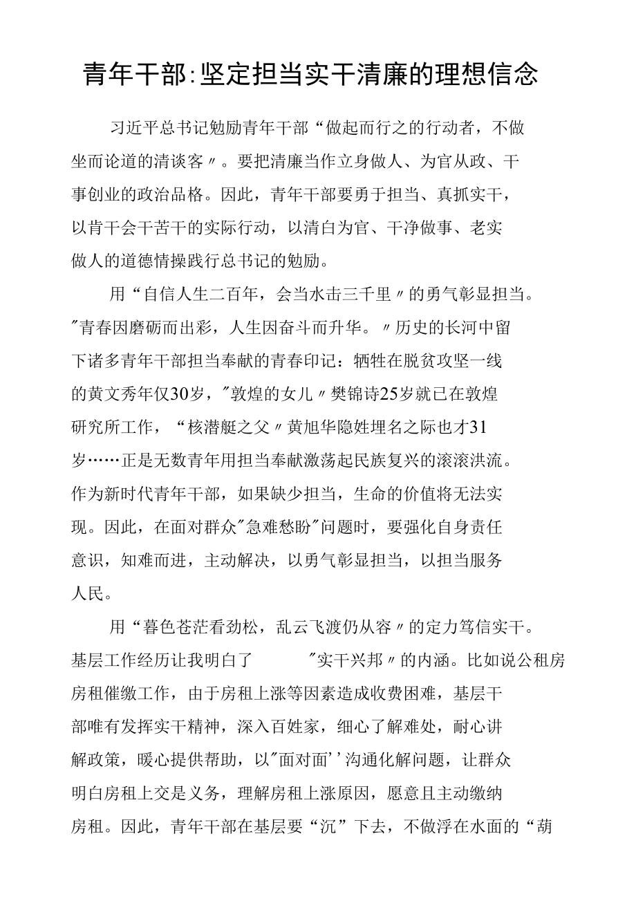 青年干部：坚定担当实干清廉的理想信念.docx_第1页