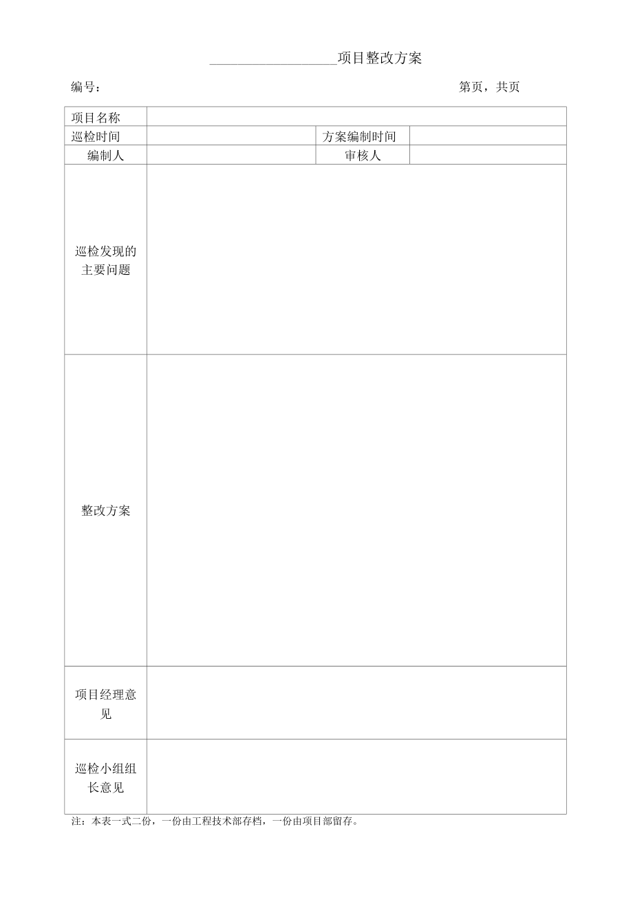 项目整改方案.docx_第1页