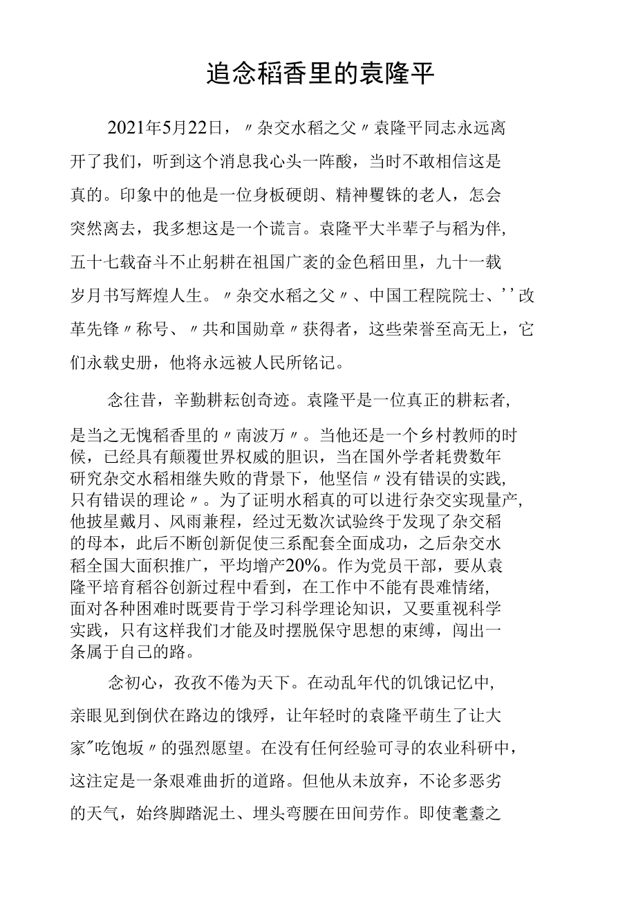 追念稻香里的袁隆平.docx_第1页