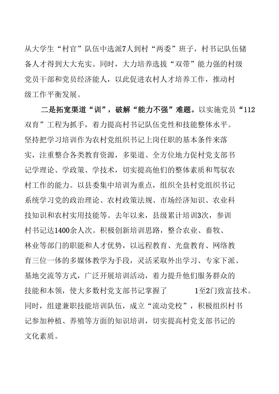 加强村党支部书记队伍建设情况汇报.docx_第3页