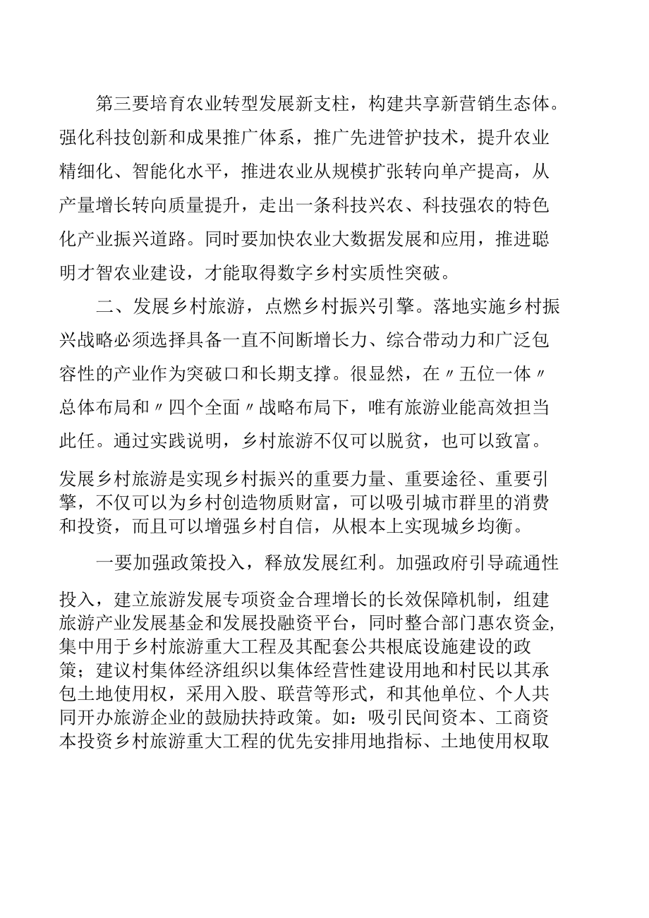 推进乡村振兴座谈会发言稿.docx_第2页