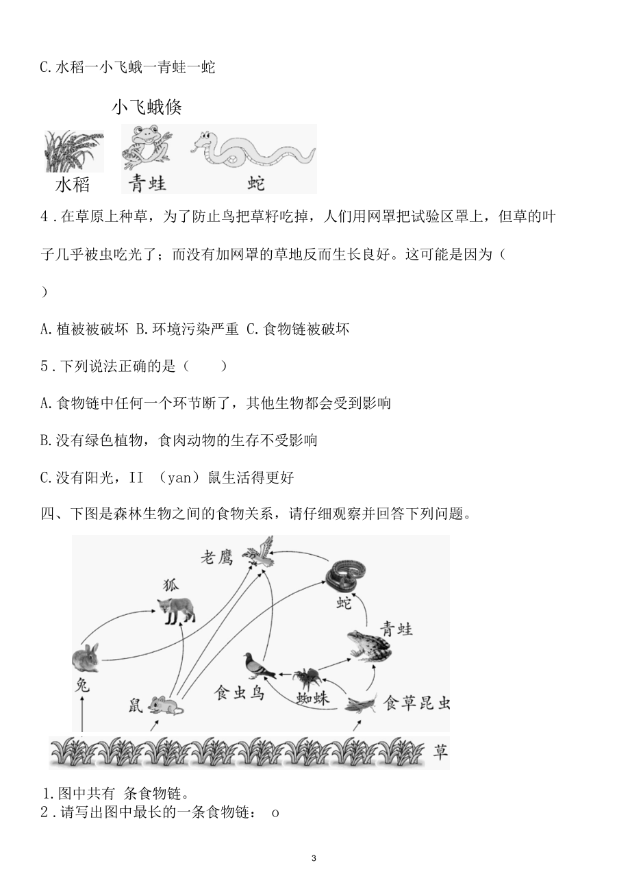 新教科版五下科学1-6《食物链和食物网》练习题（含答案）.docx_第3页