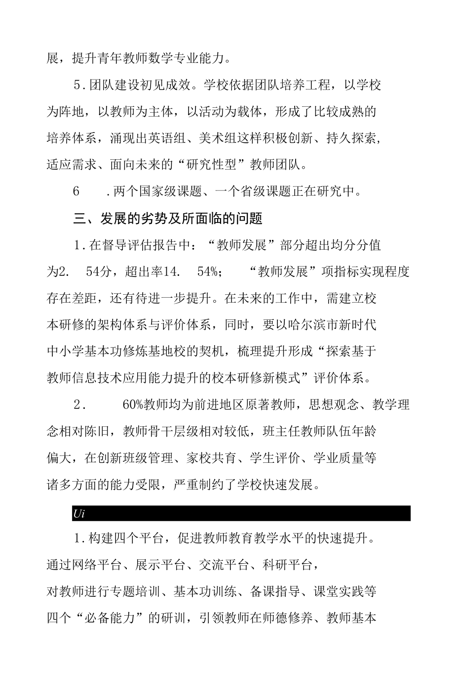 教师发展报告.docx_第2页