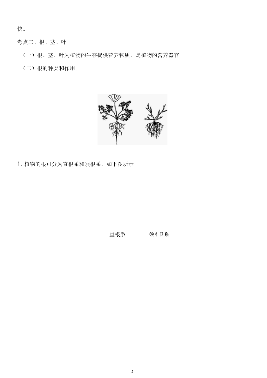 教科版四年级下册科学知识点梳理(含易错题梳理)最新改版.docx_第2页