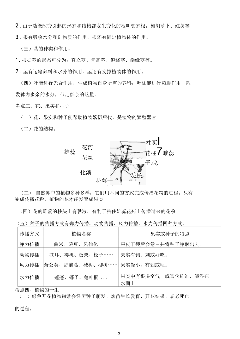 教科版四年级下册科学知识点梳理(含易错题梳理)最新改版.docx_第3页