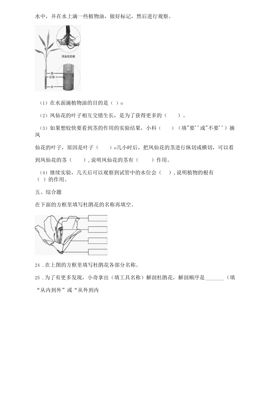 教科版（2017秋）科学 四年级下册 1-5凤仙花开花了 同步练习（含答案）.docx_第3页