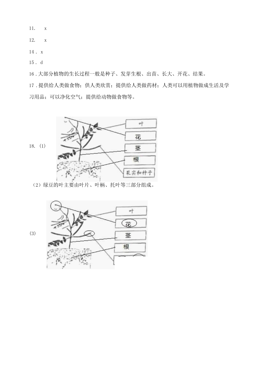 苏教版（2017秋）三年级下册科学同步练习-4 植物结果了 （含答案）.docx_第3页