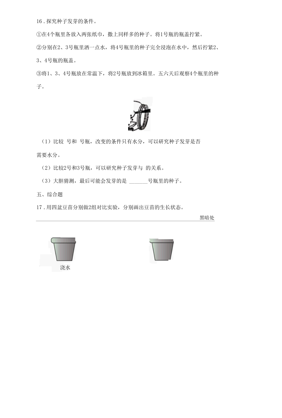 苏教版（2017秋）科学 三年级下册 1-1 种子发芽了 同步练习（word版 含答案）.docx_第3页