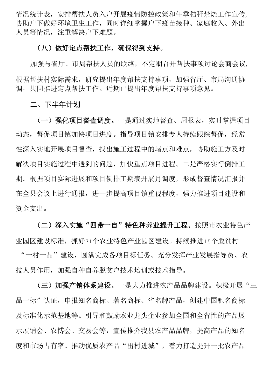 乡村振兴办2022年上半年工作总结和下半年工作计划.docx_第3页