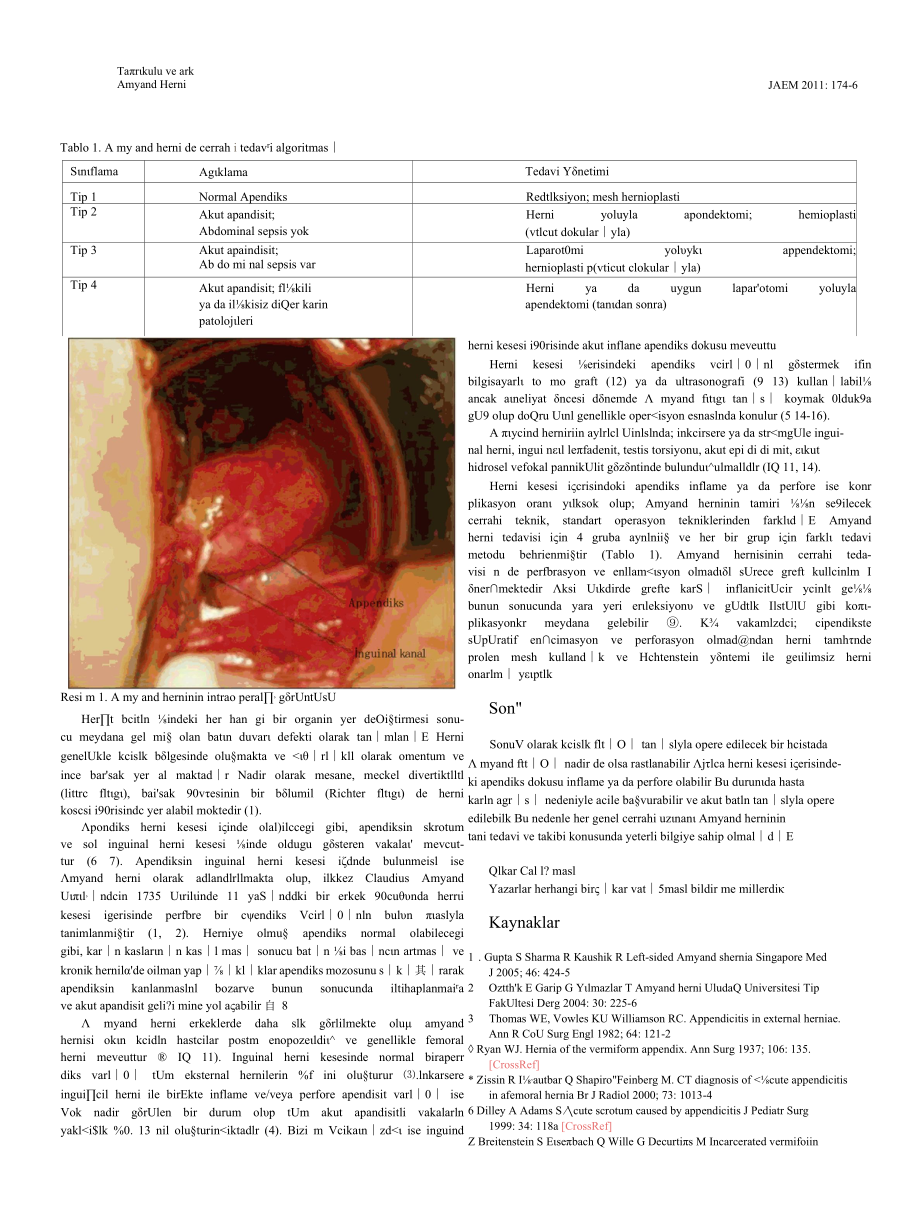 Case Report Amyand’s Hernia.docx_第3页