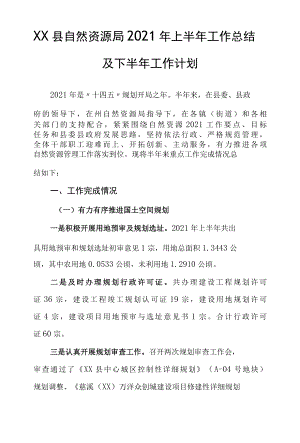 XX县自然资源局2022年上半年工作总结及下半年工作计划.docx