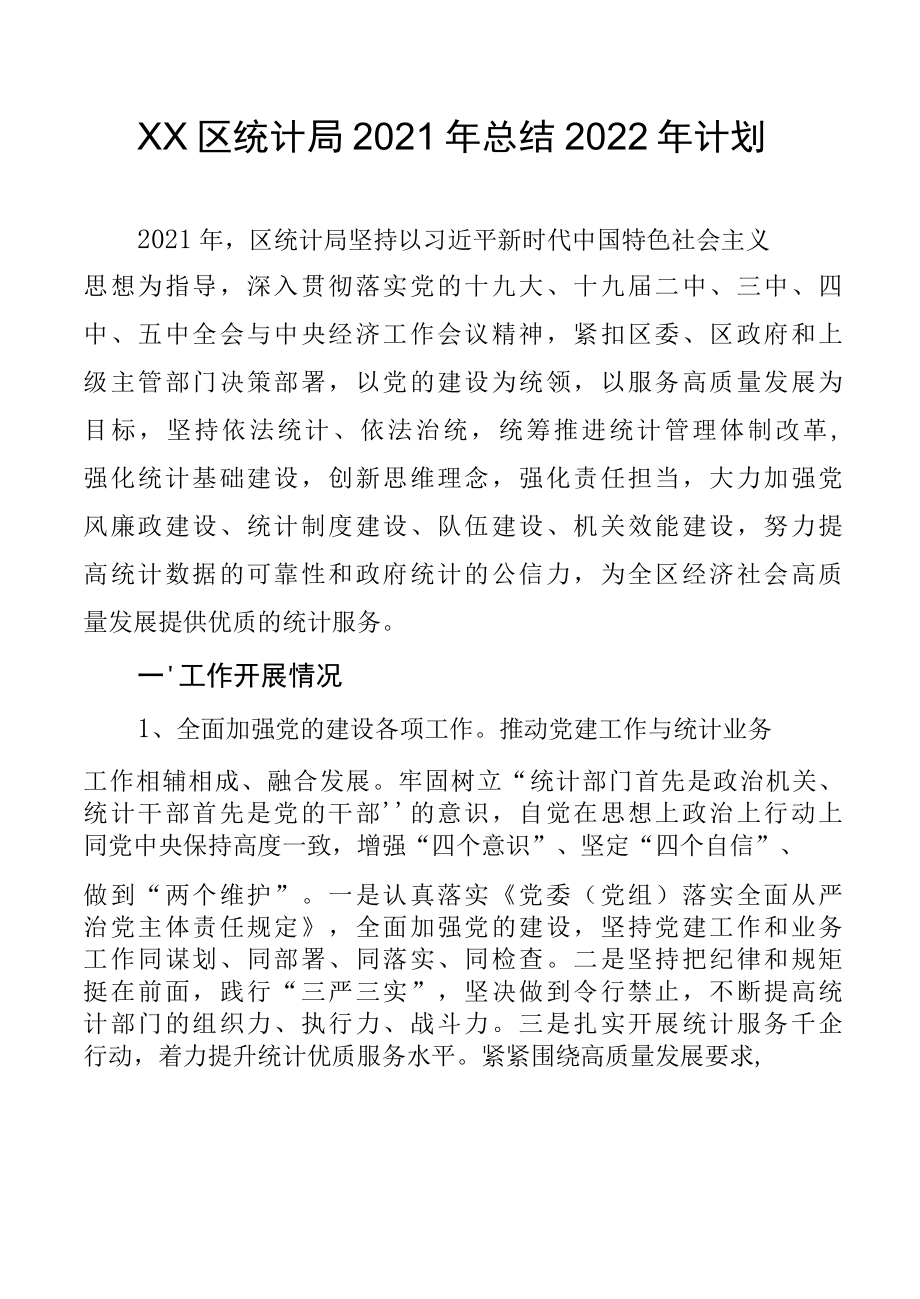 XX区统计局2022年总结2022年计划.docx_第1页