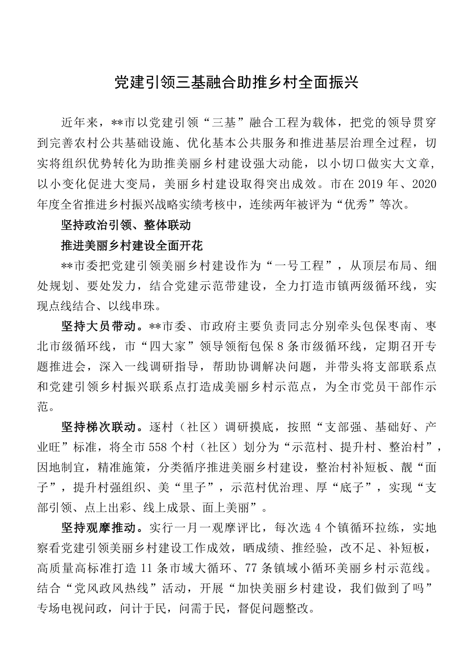 党建引领三基融合 助推乡村全面振兴.docx_第1页