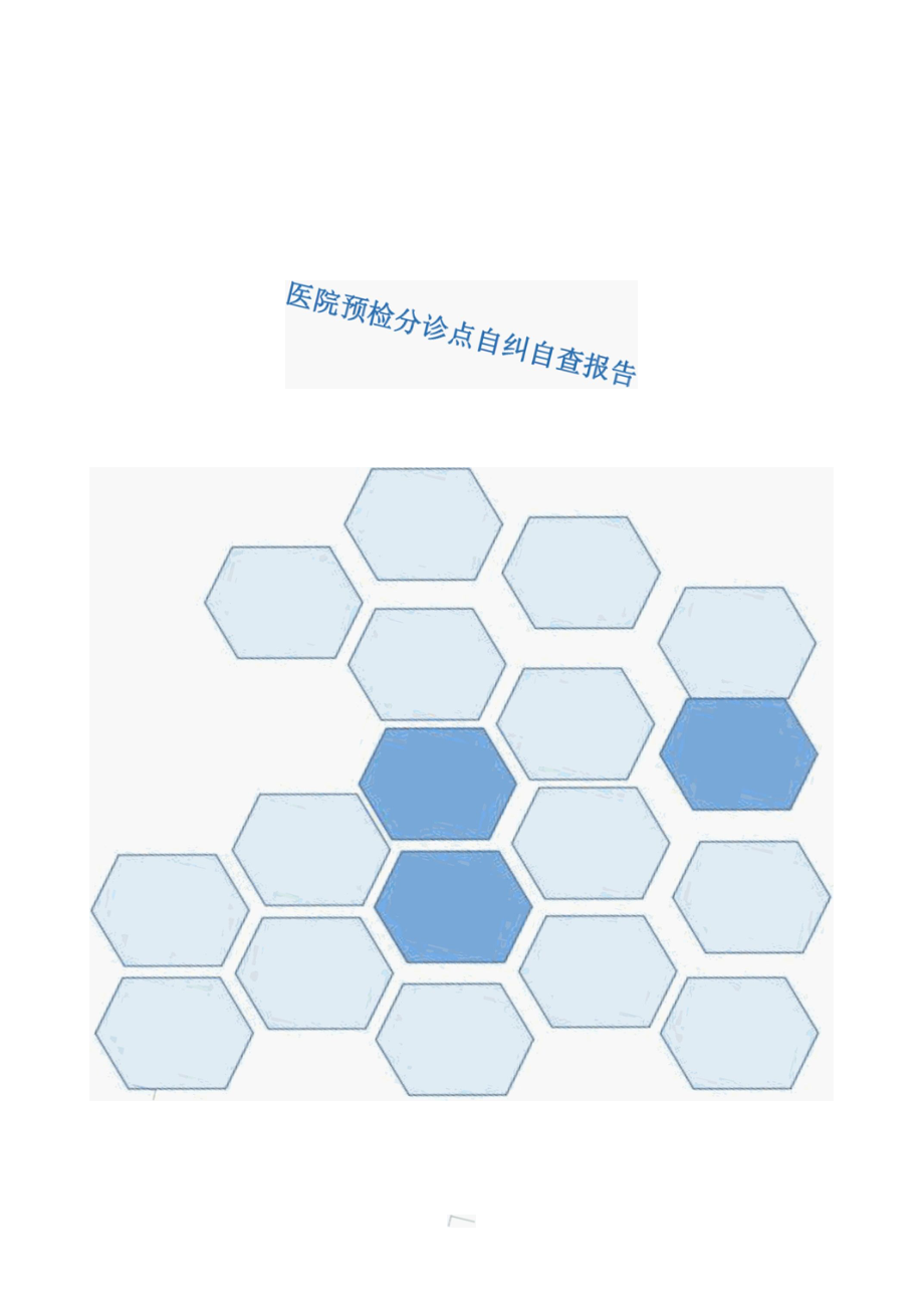 医院预检分诊点自纠自查报告.docx_第1页